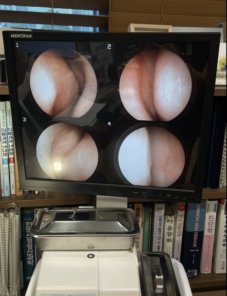 Pasted image